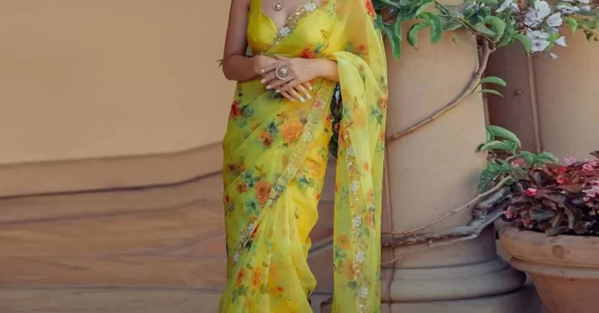 Organza Saree: Woven Dreams, Draped with Elegance